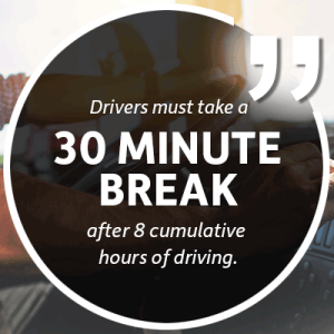 30 minute break